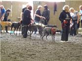 Play Date at Walford College a 'Greyt' Success!